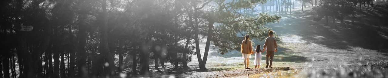 Cosmovisão Bíblica e Família